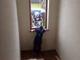 img00229
